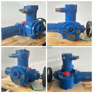 煤安認(rèn)證ZB30-24礦用隔爆閥門電動(dòng)裝置